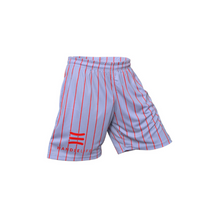 Load image into Gallery viewer, Handlelife Shorts - Grey - Red Stripe